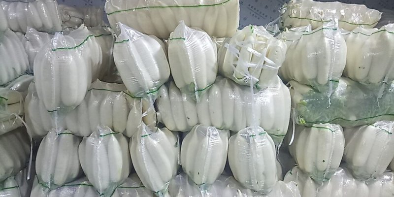 白萝卜️️大量上市中！！