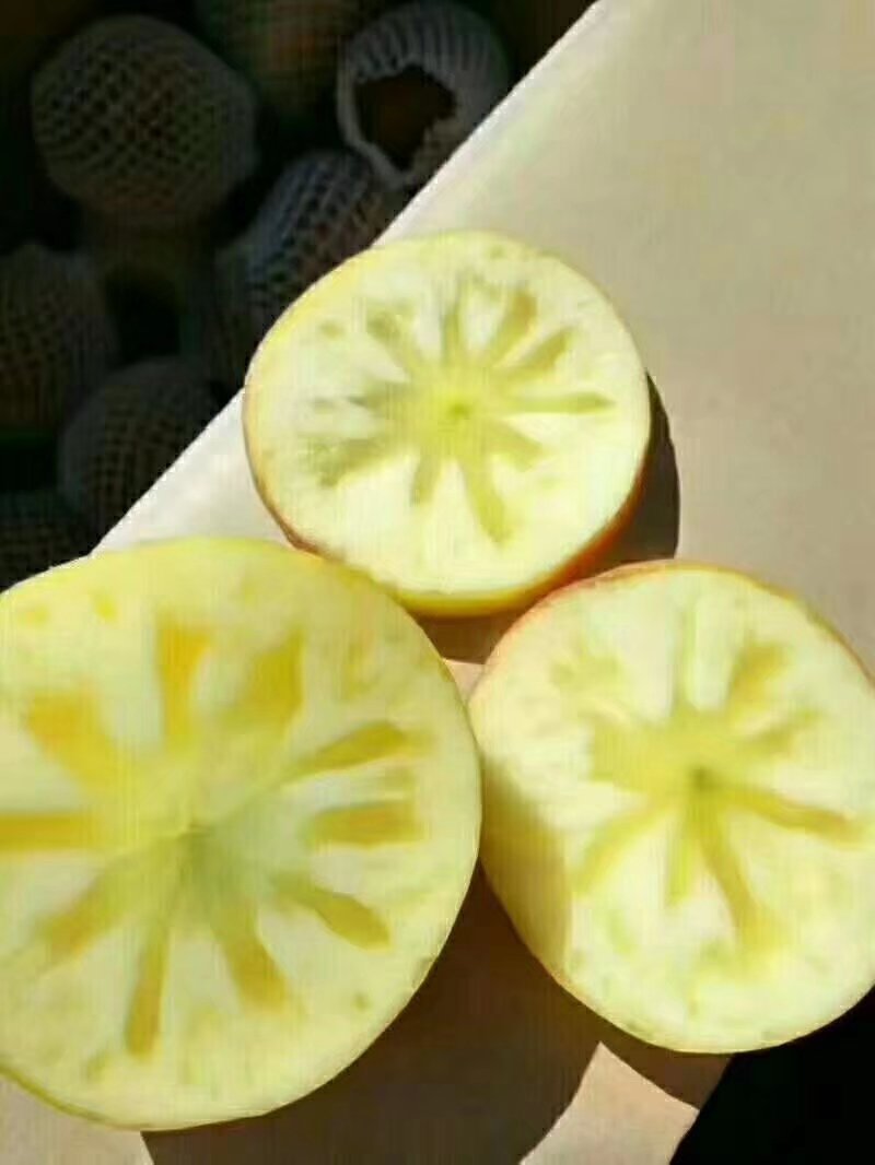苹果