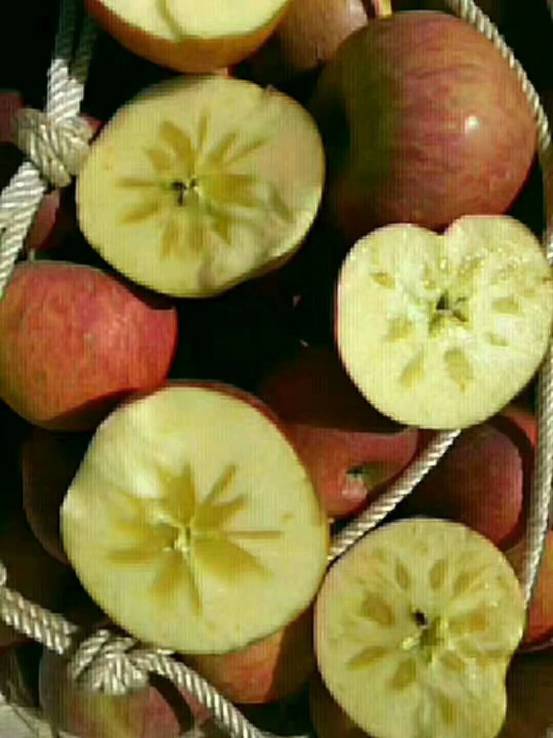 苹果