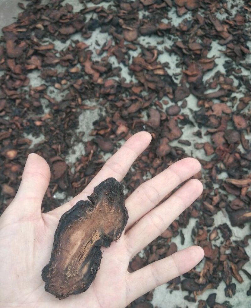何首乌，纯野生统片