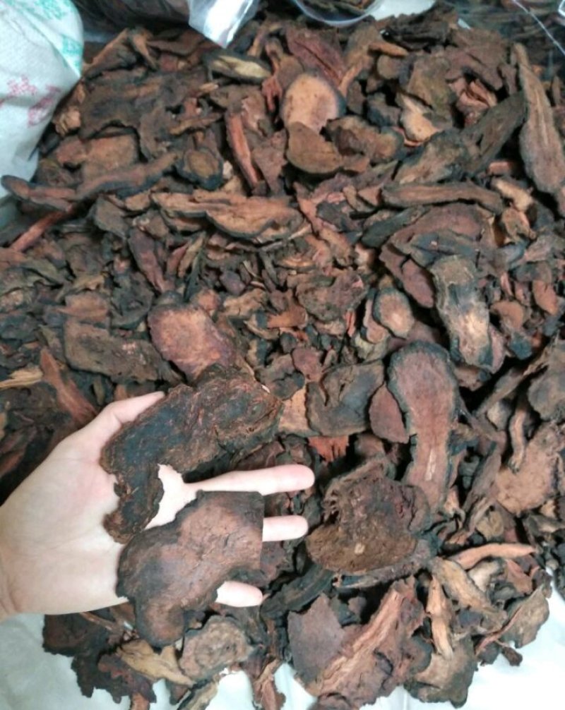 何首乌，纯野生统片