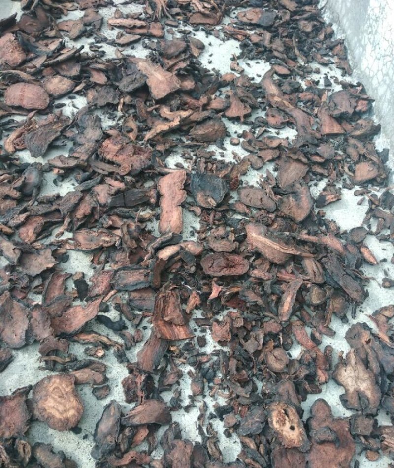 何首乌，纯野生统片