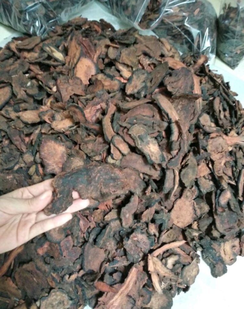 何首乌，纯野生统片