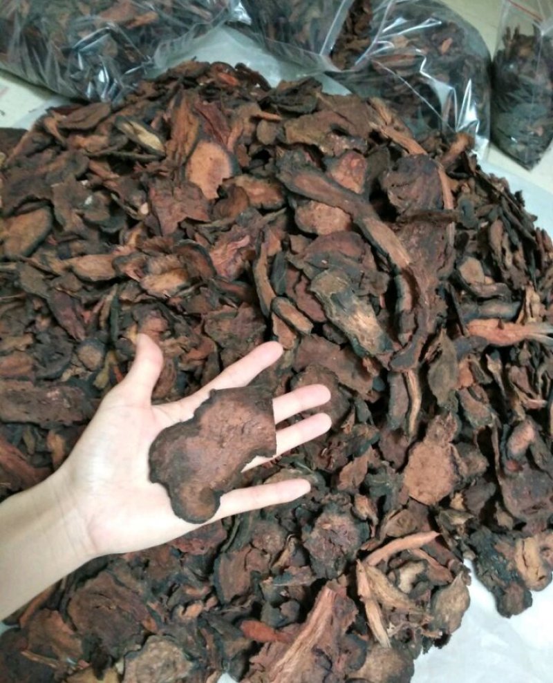 何首乌，纯野生统片