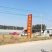 脆甜柿子苗阳丰大秋富有次郎1公分-4公分