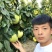 红心蜜柚1.5斤起果皮细腻个头均匀货源充足支持产地直发