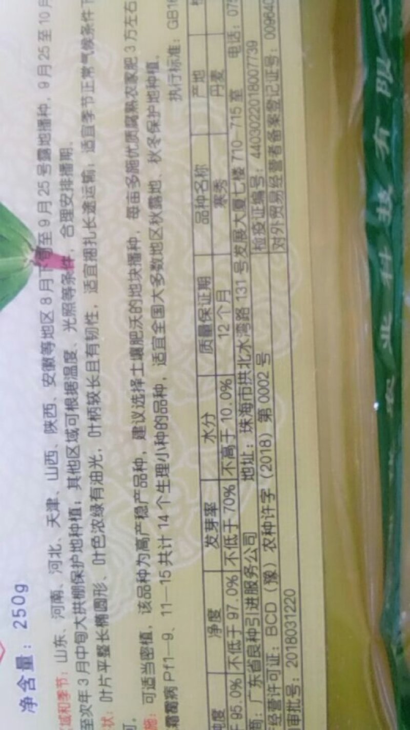 进口菠菜种子