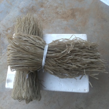北京红薯553，红薯粉条特质