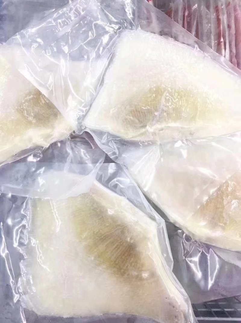 鱼翅