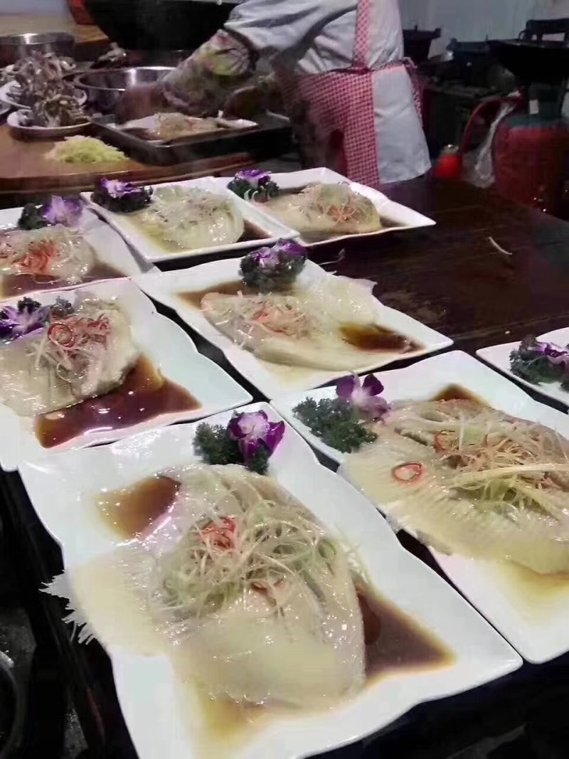 鱼翅