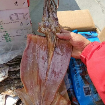 鱿鱼干