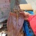 鱿鱼干
