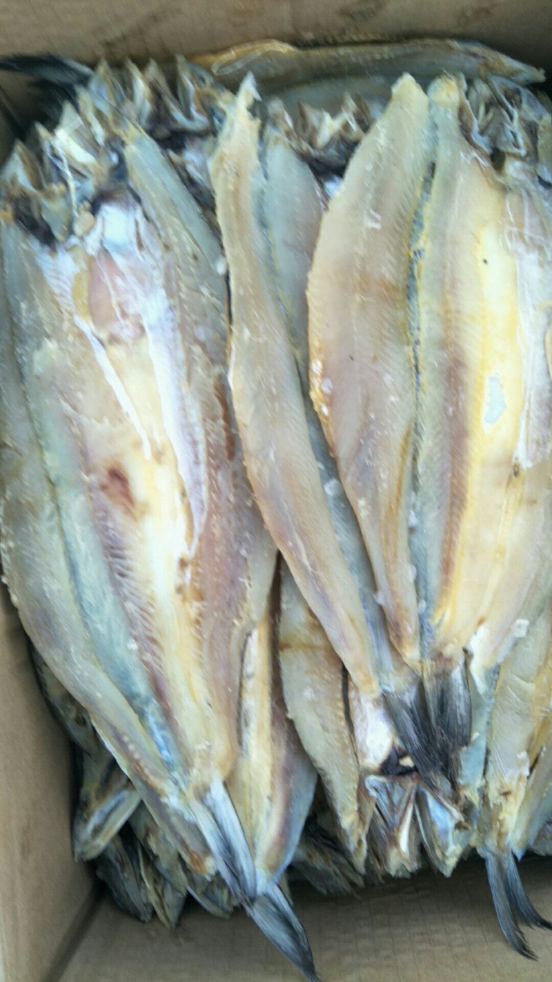 黄花鱼干