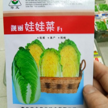 杂交黄心白菜种子娃娃菜种子