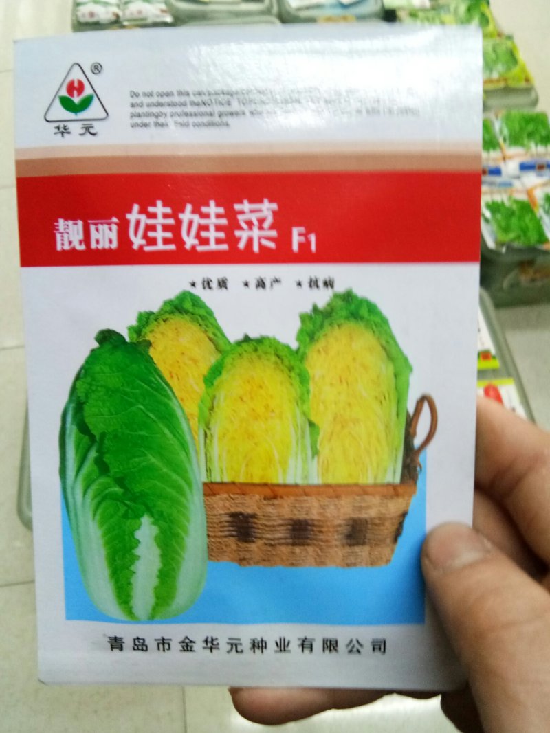 杂交黄心白菜种子娃娃菜种子