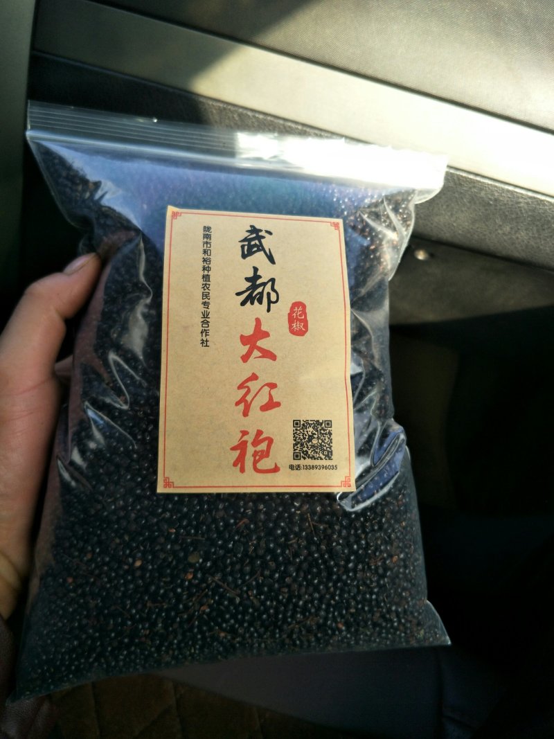 陇南武都:大红袍伏椒种子育苗专用提供育苗技术