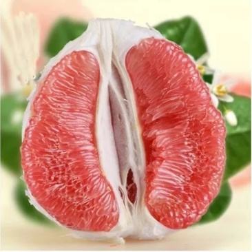 梅州强惠漫心谷红肉柚