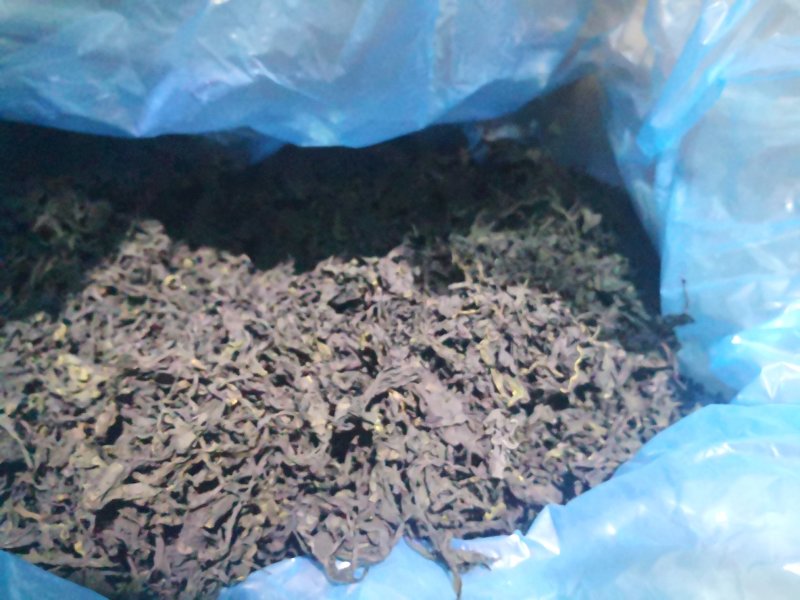 裙带菜海木耳