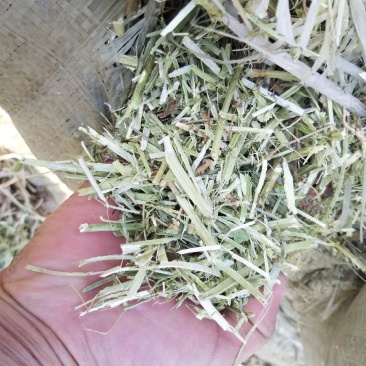 花生秧牛草，正阳中原草业有限公司