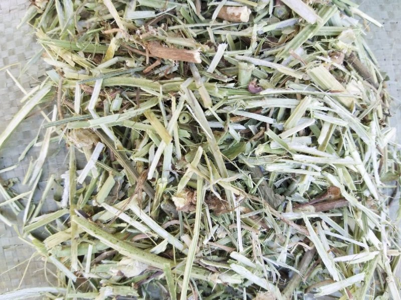 花生秧牛草，正阳中原草业有限公司