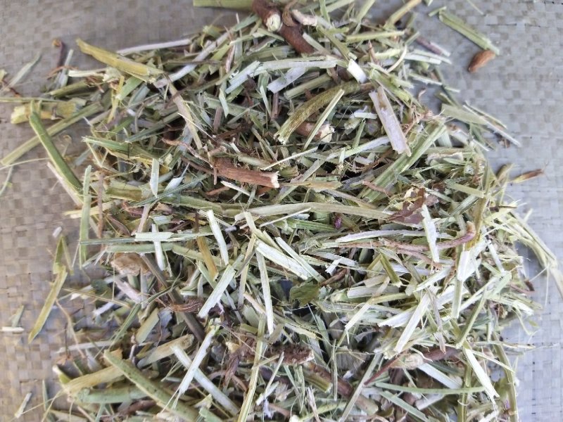 花生秧牛草，正阳中原草业有限公司