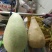 供应150余种文玩葫芦种子