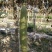供应150余种文玩葫芦种子