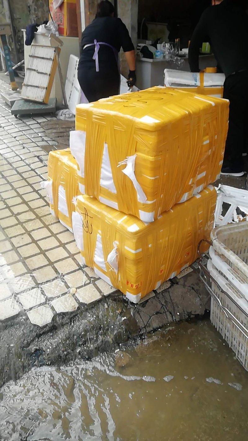 麦穗鱼麻鱼冰鲜冻品供应