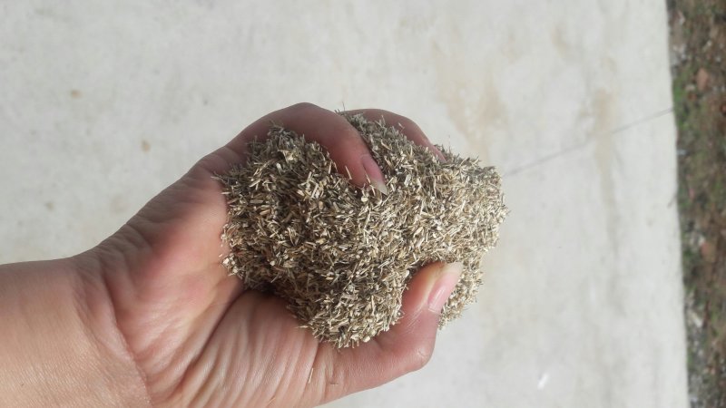 艾草连颈枕伏牛山野生艾草填充