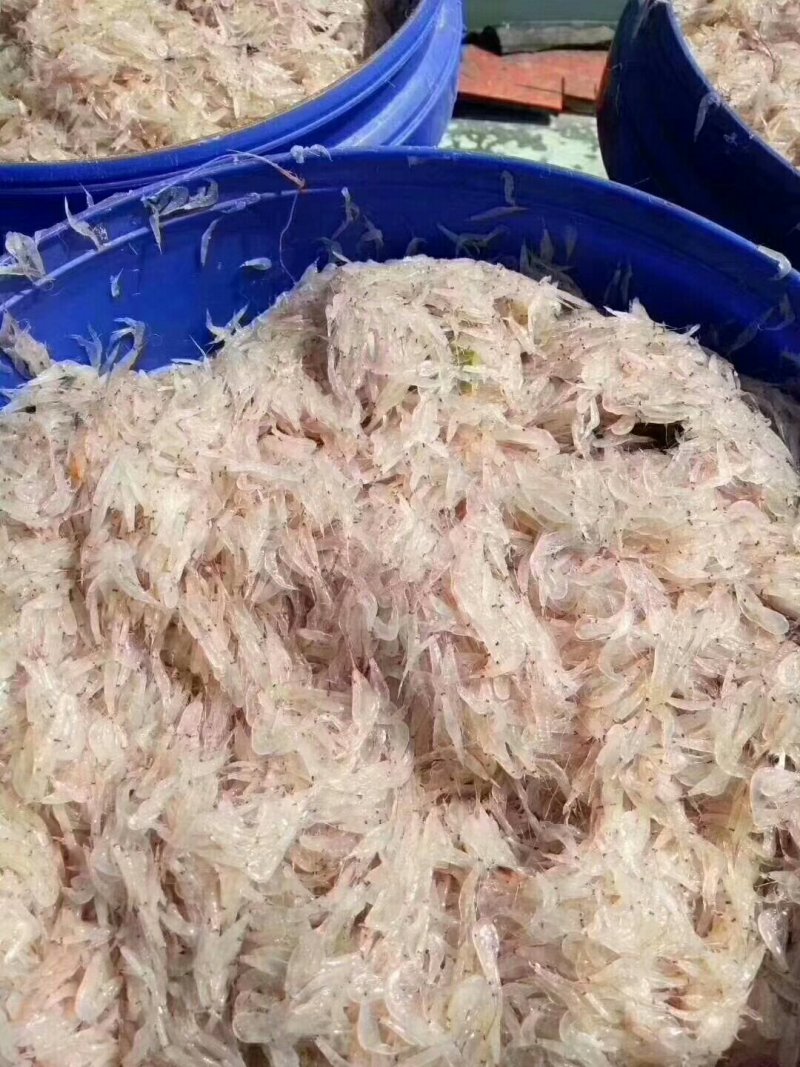 虾酱