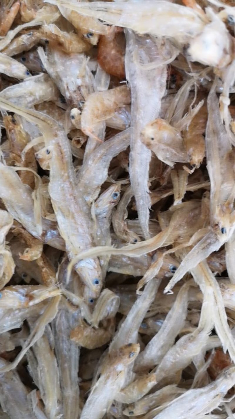 推荐巢湖毛刀鱼干巴鱼量大质优