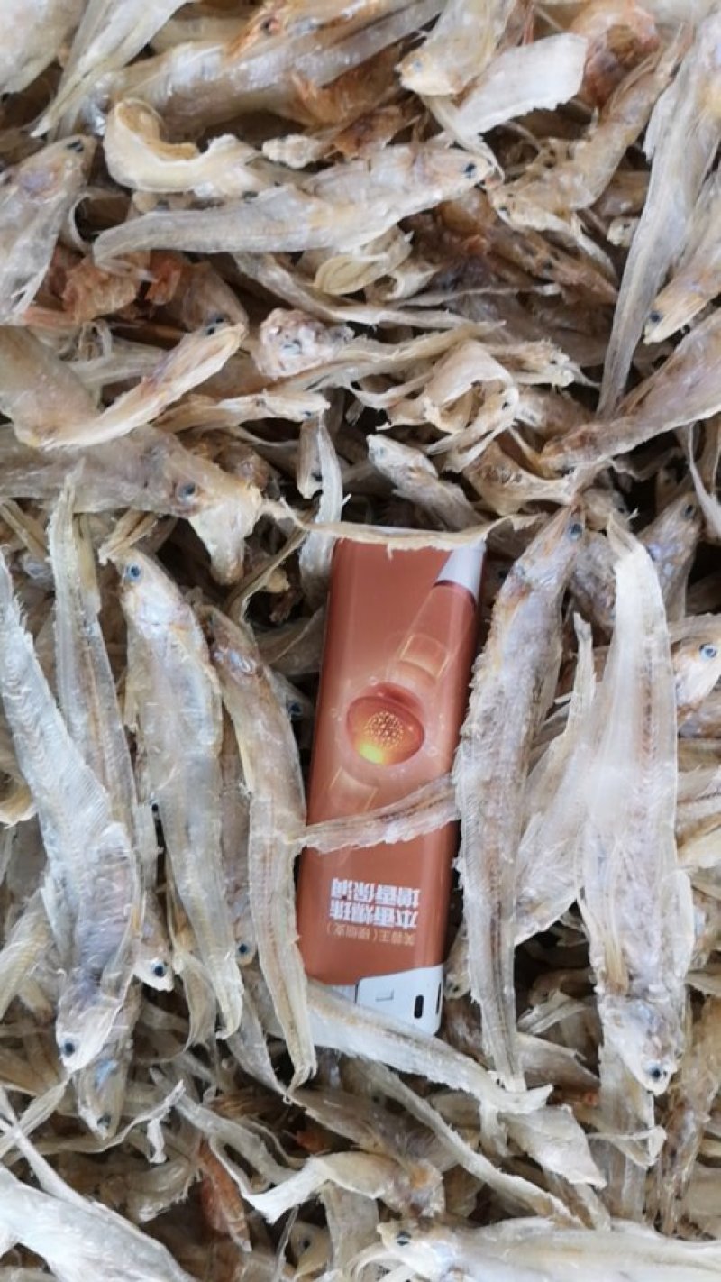 推荐巢湖毛刀鱼干巴鱼量大质优
