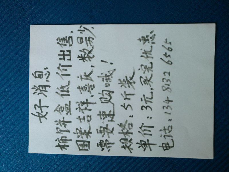 低价出售柿饼包装盒