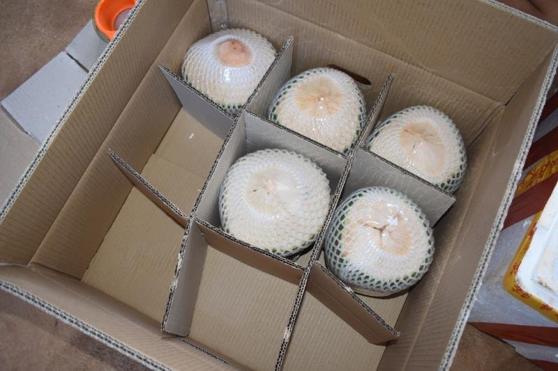 海南9个装椰青！产地直供，支持快递，陆运，一件代发