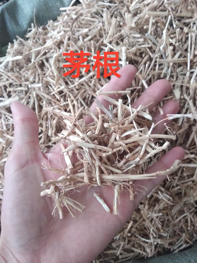 白茅根茅草根、野生无硫中药用白茅根