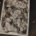 章鱼统货