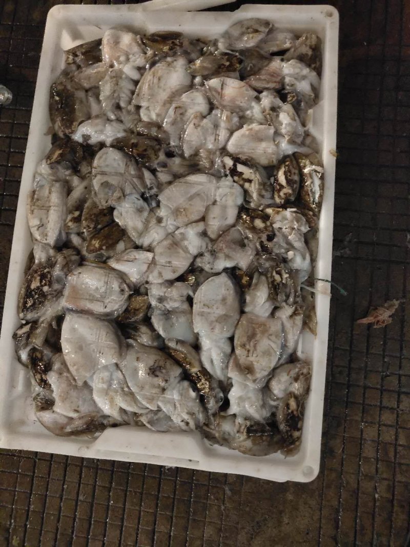 章鱼统货