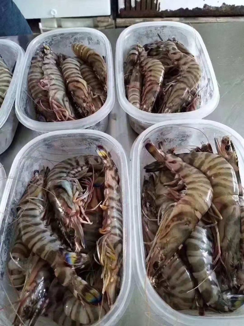 海鲜大礼包