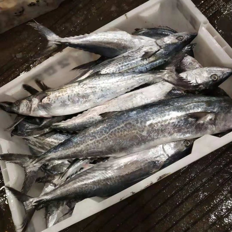 海鲜大礼包