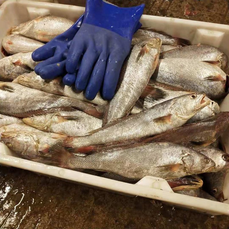海鲜大礼包
