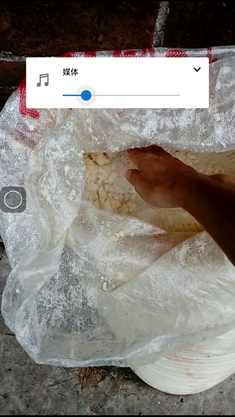 豆渣