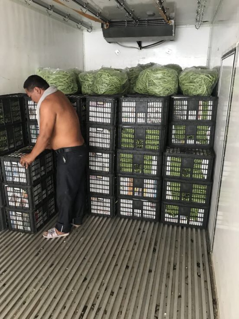 四季豆，诚信代办代发各种货，有需求的联系