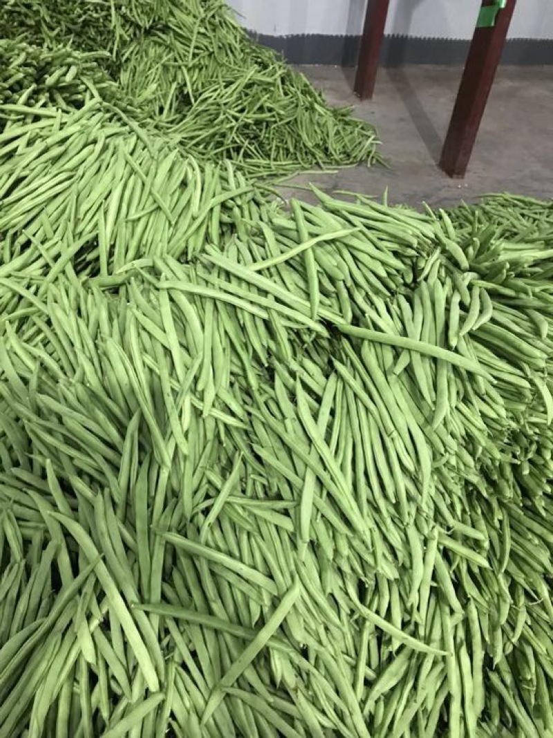 四季豆，诚信代办代发各种货，有需求的联系