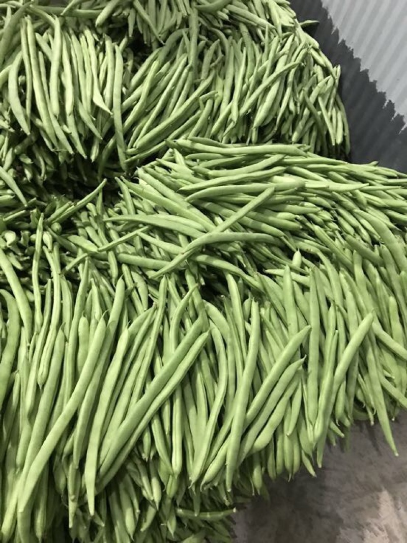 四季豆，诚信代办代发各种货，有需求的联系