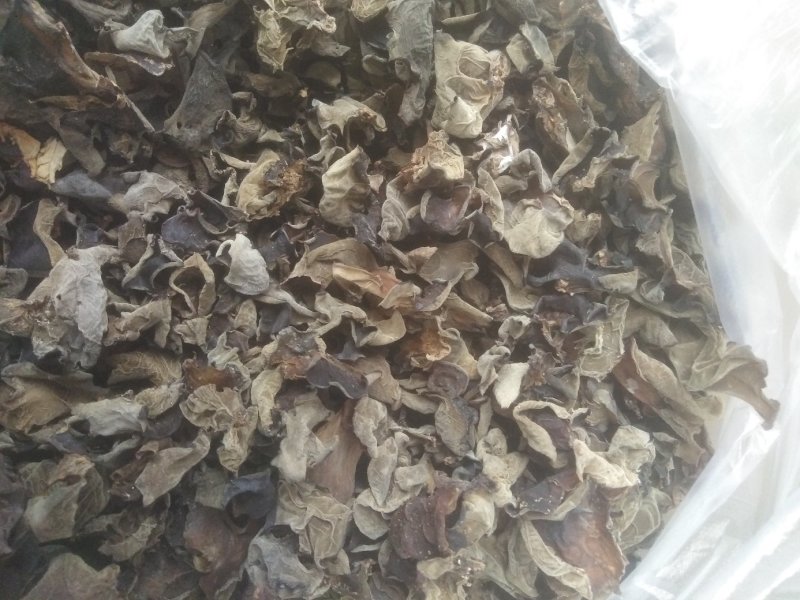 木耳