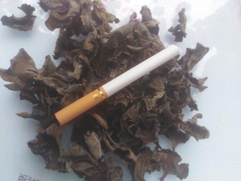 木耳