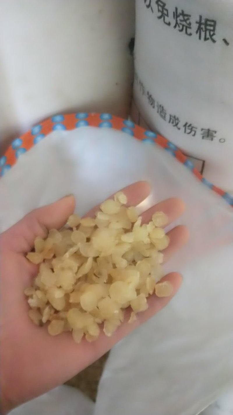 皂角米小籽，无硫大双荚，靓货大量有货，质高价优，欢迎订购