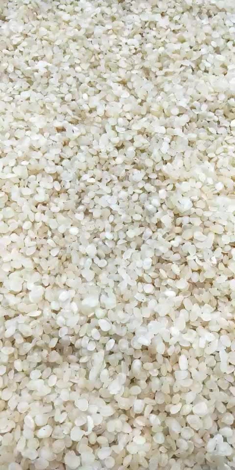 皂角米小籽，无硫大双荚，靓货大量有货，质高价优，欢迎订购