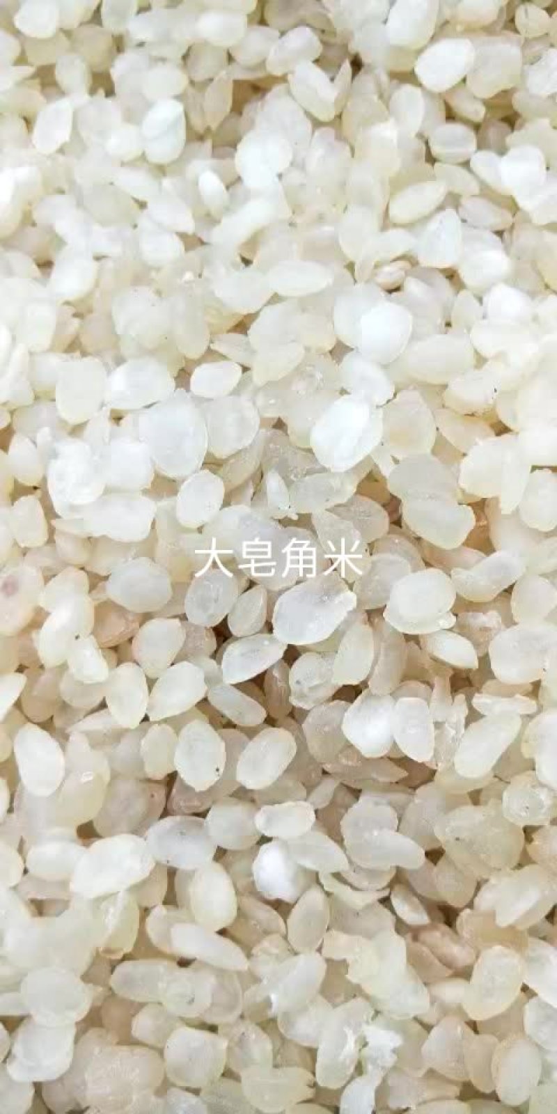 皂角米小籽，无硫大双荚，靓货大量有货，质高价优，欢迎订购