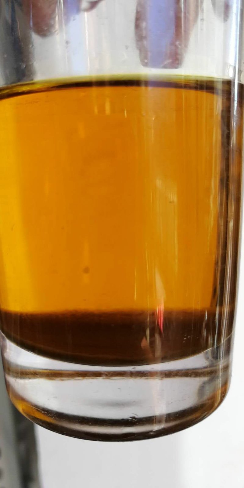 油菜籽